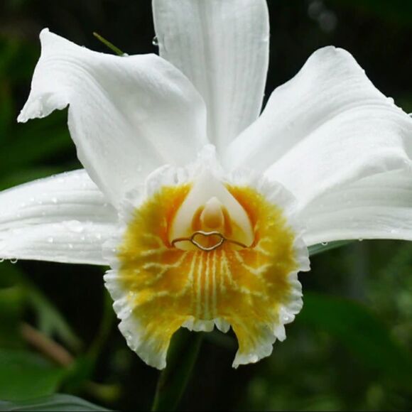 VERAMEAT Sterling Silver Got Heart? Thin Stackable Ring Size 7.5 - Picture 7 of 7